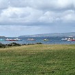 IMG_3145_1024
