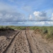 IMG_3188_1024