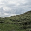 IMG_3190_1920