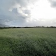 IMG_3194_1024