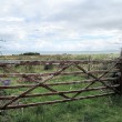 IMG_3198_1024