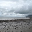 IMG_3208_1024