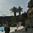 Jameos del Agua - Lagune