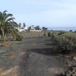 Stadtpark in Costa Teguise