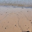 Sonniger Strand