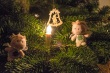 DSC_5996_1920