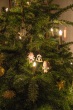 DSC_6004_1920