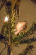 DSC_6024_1920