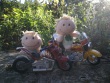 IMG_20200822_183042_1920
