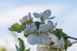 DSC_6795_1920