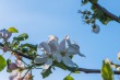 DSC_6796_1920