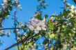 DSC_6797_1920
