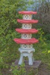 DSC_6798_1920