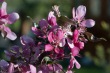 DSC_6800_1920