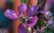 DSC_6802_crop_1920