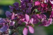 DSC_6806_1920