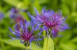 DSC_6813_crop_1920