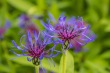 DSC_6814_1920