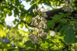 DSC_6817_1920