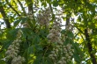 DSC_6819_1920
