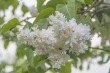 DSC_6821_1920