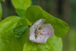DSC_6827_1920