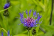 DSC_6833_1920
