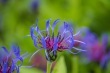 DSC_6835_1920