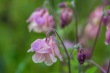 DSC_6844_1920