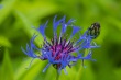 DSC_6845_1920