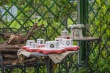 DSC_6846_1920