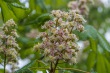 DSC_6850_1920