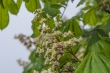 DSC_6851_1920