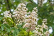 DSC_6854_1920