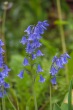 DSC_6857_1920