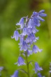 DSC_6859_1920