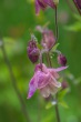 DSC_6863_1920