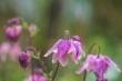 DSC_6866_1920