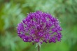DSC_6876_1920