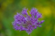 DSC_6879_1920