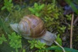 DSC_6881_1920