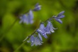 DSC_6884_1920
