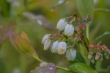 DSC_6888_1920