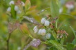 DSC_6890_1920