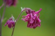 DSC_6898_1920