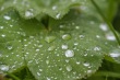 DSC_6904_1920
