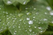 DSC_6905_1920