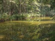 IMG_5130_1600