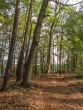 IMG_5135_1600
