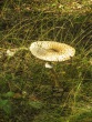 IMG_5139_1600